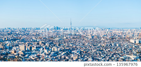 Aerial view of Tokyo, taken from above the Edogawa River near Yagiri in Matsudo City, towards the city center. Panorama 135967976