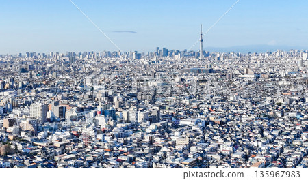 從松戶市八霧附近的江戶川上空拍攝的東京全景照片，鏡頭朝向市中心。 135967983