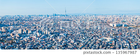 從松戶市八霧附近的江戶川上空拍攝的東京全景照片，鏡頭朝向市中心。 135967987