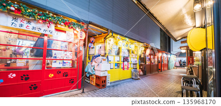 Night view of Hachinohe Yatai Village and Miroku Yokocho in Hachinohe City, Aomori Prefecture Night view of Hachinohe Yatai Village and Miroku Yokocho in Hachinohe City, Aomori Prefecture 135968170