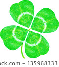 可愛的四葉草水彩插圖 可愛的四葉草水彩插圖 135968333