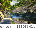宿川沿岸的櫻花樹 135968411