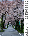 櫻花隧道 135968412