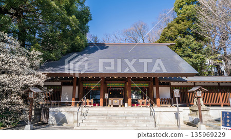 東京港區乃木神社的景色 135969229