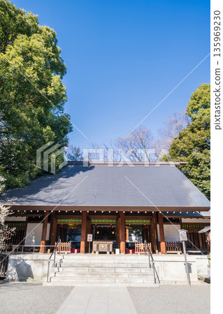 東京港區乃木神社的景色 135969230