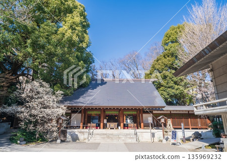 東京港區乃木神社的景色 135969232