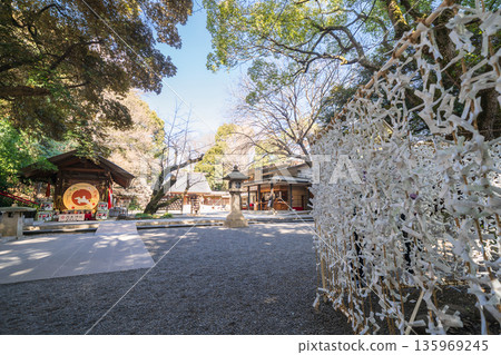 "Tokyo" Scenery of Nogi Shrine, Minato Ward 135969245