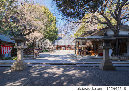 東京港區乃木神社的景色 135969248
