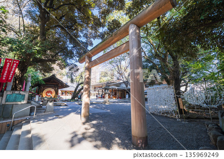 東京港區乃木神社的景色 135969249