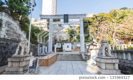 東京港區乃木神社的景色 135969327
