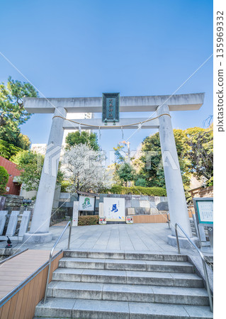 "Tokyo" Scenery of Nogi Shrine, Minato Ward 135969332