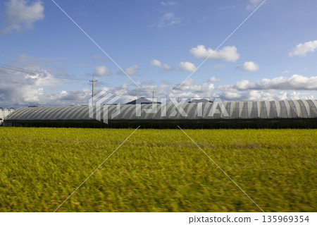 It is an autumn rural landscape with golden fields. It is an autumn rural landscape with golden fields. 135969354