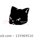 Cat 135969510