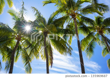 Hawaii Waikiki Beach and Diamond Head resort landscape with blue sea and sky copy space 135969687