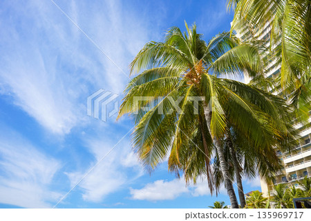 Hawaii Waikiki Beach Blue sea and sky resort scenery 135969717