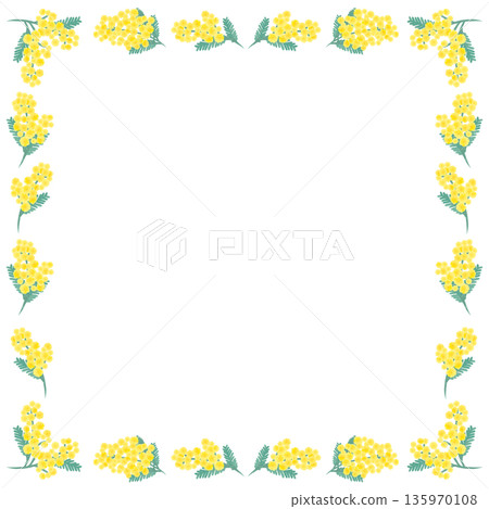Hand-drawn mimosa simple frame_square 135970108