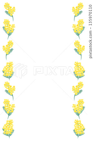 Hand-drawn mimosa simple left and right frame_vertical Hand-drawn mimosa simple left and right frame_vertical 135970110