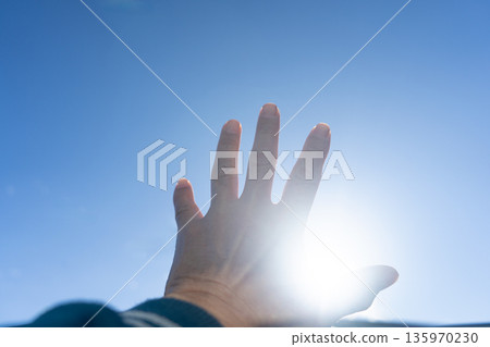 Palms held up to the sun Palms held up to the sun 135970230