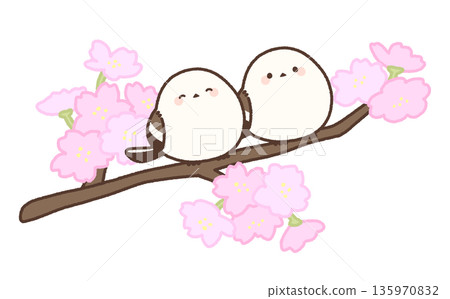 Two long-tailed tits perched on a long cherry tree branch 135970832