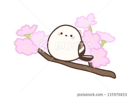 A long-tailed tit perched on a short cherry tree branch A long-tailed tit perched on a short cherry tree branch 135970833