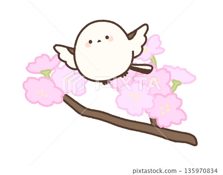 Short cherry blossom branches and a flapping long-tailed tit Short cherry blossom branches and a flapping long-tailed tit 135970834