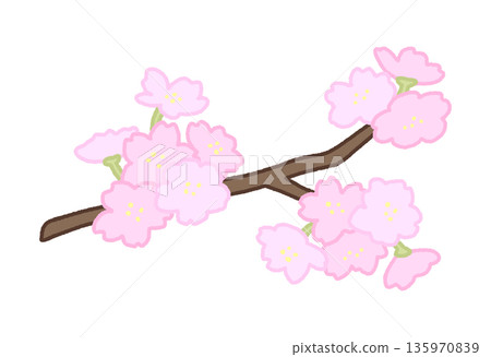 長長的櫻花枝裝飾插圖 135970839