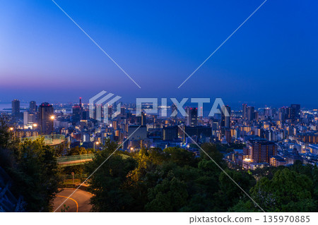 Hyogo Prefecture: Night view of Kobe Venus Bridge and Suwayama Park Observatory before dawn Hyogo Prefecture: Night view of Kobe Venus Bridge and Suwayama Park Observatory before dawn 135970885