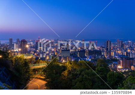 Hyogo Prefecture: Night view of Kobe Venus Bridge and Suwayama Park Observatory before dawn 135970894