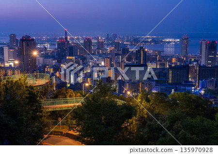 Hyogo Prefecture: Night view of Kobe Venus Bridge and Suwayama Park Observatory before dawn Hyogo Prefecture: Night view of Kobe Venus Bridge and Suwayama Park Observatory before dawn 135970928