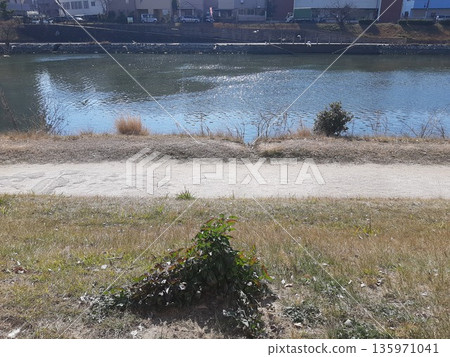 河景 河景 河景 河景 135971041