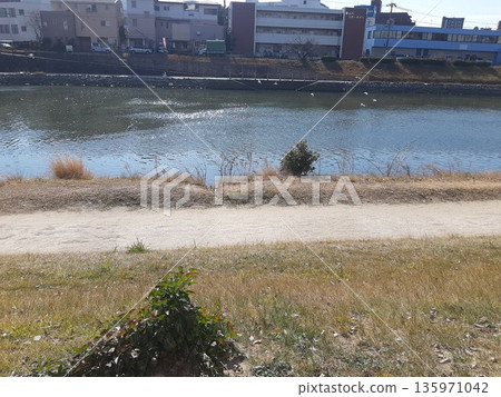 River view, beautiful scenery, river view in the city River view, beautiful scenery, river view in the city 135971042