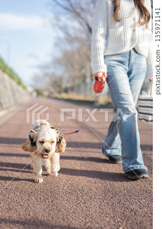 狗走路 135971141