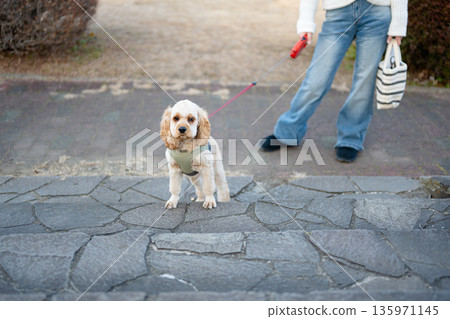 狗走路 135971145