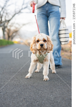 狗走路 狗走路 135971146