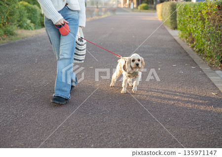 狗走路 狗走路 135971147