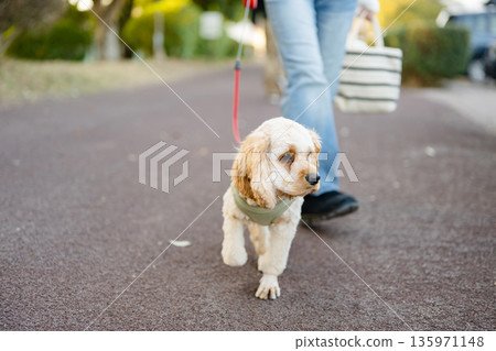 狗走路 狗走路 135971148