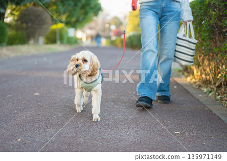 狗走路 狗走路 135971149