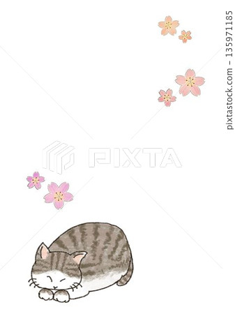 睡貓和櫻花插圖 睡貓和櫻花插圖 135971185