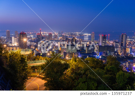 兵庫縣:黎明前神戶維納斯橋與諏訪山公園展望台的夜景 兵庫縣:黎明前神戶維納斯橋與諏訪山公園展望台的夜景 135971237