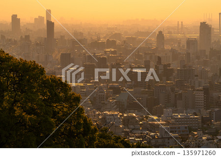 Hyogo Prefecture: Kobe Venus Bridge and Suwayama Park Observatory at dawn 135971260