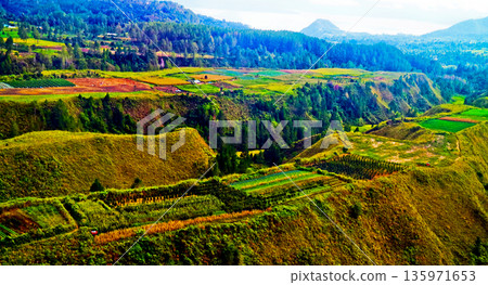 view from the sky of the rice fields view from the sky of the rice fields 135971653
