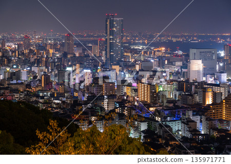Hyogo Prefecture: Night view of Kobe Venus Bridge and Suwayama Park Observatory before dawn 135971771