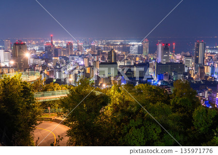 Hyogo Prefecture: Night view of Kobe Venus Bridge and Suwayama Park Observatory before dawn Hyogo Prefecture: Night view of Kobe Venus Bridge and Suwayama Park Observatory before dawn 135971776