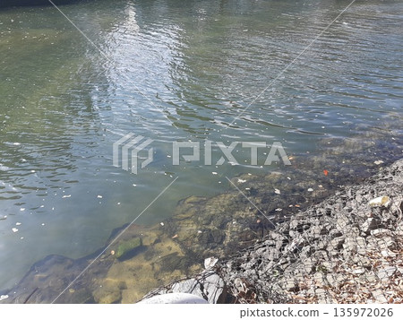 清澈見底的河流 清澈見底的河流 135972026