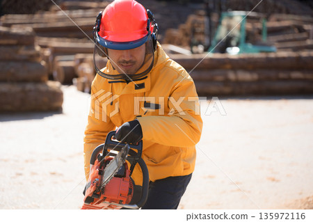 Forestry with chainsaw, image of primary industry Cutting wood Forestry with chainsaw, image of primary industry Cutting wood 135972116