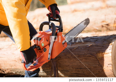 Forestry with chainsaw, image of primary industry Cutting wood Forestry with chainsaw, image of primary industry Cutting wood 135972117