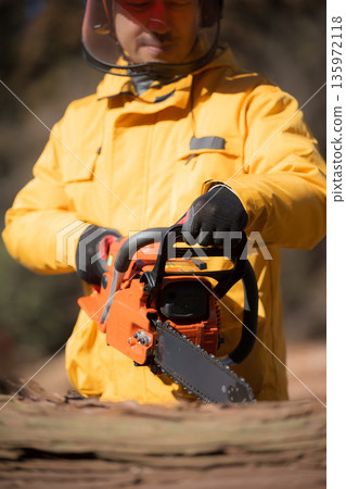 Forestry with chainsaw, image of primary industry Cutting wood 135972118