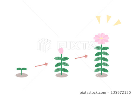 花朵生長插圖 135972130