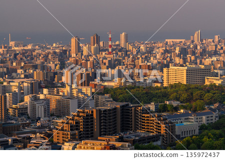 Hyogo Prefecture: Kobe Venus Bridge and Suwayama Park Observatory at dawn 135972437