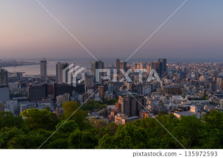 Hyogo Prefecture: Kobe Venus Bridge and Suwayama Park Observatory at dawn Hyogo Prefecture: Kobe Venus Bridge and Suwayama Park Observatory at dawn 135972593